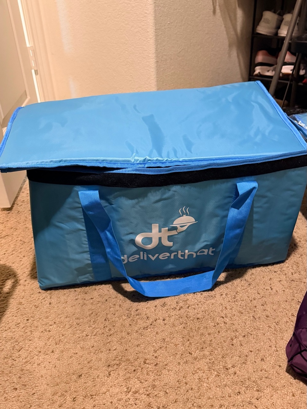Insulated Delivery Bag in Light Blue